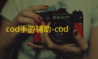 cod手游辅助-cod手游辅助瞄准无效